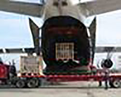 Cargo aereo italiano: lieve contrazione nel 2013.