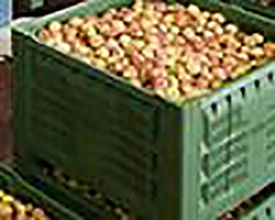 Il settore italiano del Food premia System Logistics. Il caso Rivoira