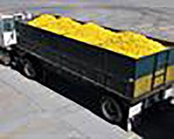 Fondamentale tutelare il trasporto alimentare.