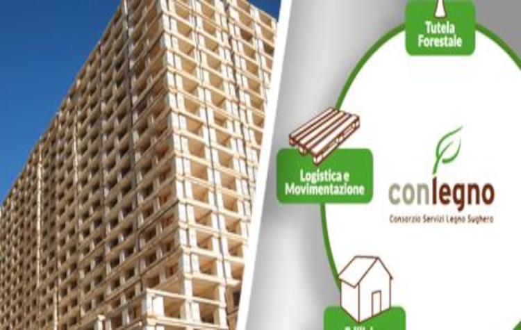 Gestione pallet: da voce di costo a risorsa preziosa per il risparmio