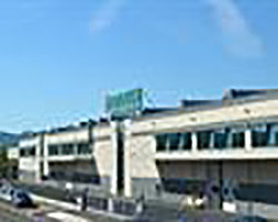 Agroalimentare e Packaging: il ruolo di una palletizzazione efficiente