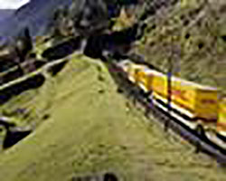 DHL per la sostenibilità: il treno inquina meno