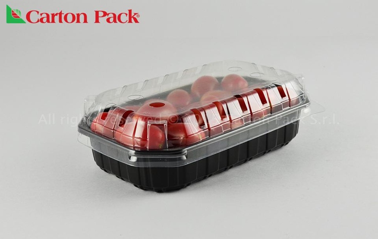 Carton Pack leader della sostenibilità