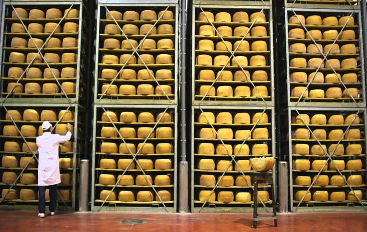 Biraghi punta ad armonizzare il business con SAP S/4HANA