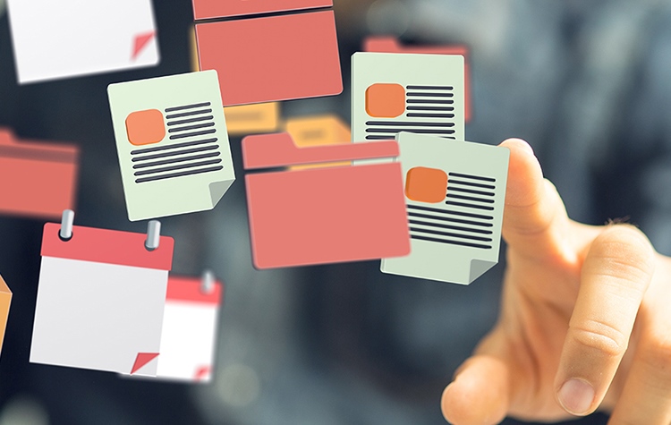 Document management: una gestione della logistica ottimizzata