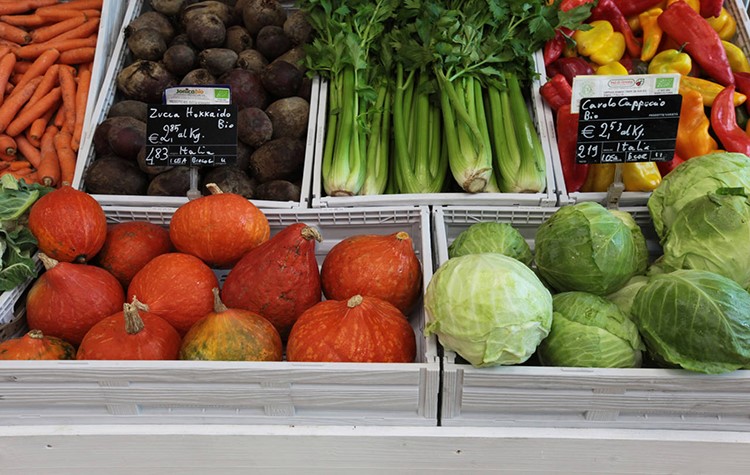 Aziende, logistica e trasporti: Polymer Logistics si rifà il look e punta sulla tracciabilità