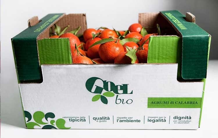 Vede la luce il nuovo magazzino logistico di Goel Bio