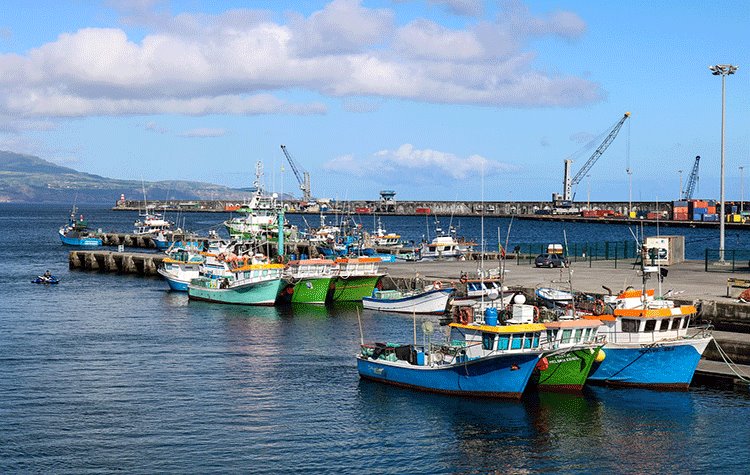 Presentati i dati relativi ai porti di Venezia e Chioggia