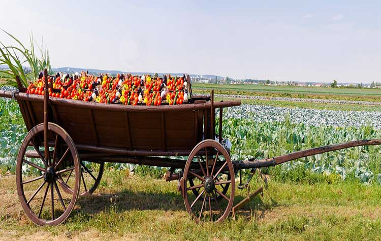 L’Emilia-Romagna al centro del mondo logistico