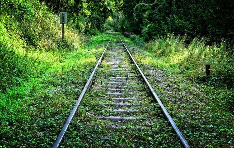 Come avviene la ripresa logistica dopo l’emergenza Covid-19?