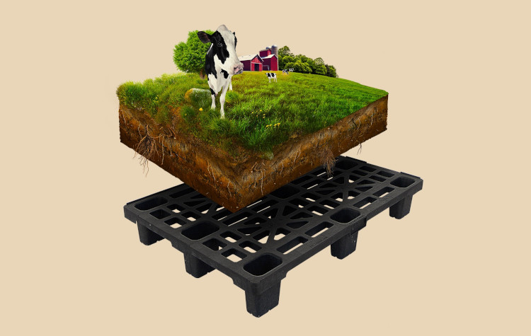 Relicyc: il pallet che risponde alle richieste del settore alimentare