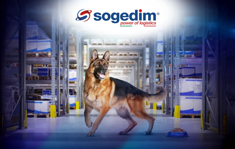 Cresce il mercato pet food in Italia: Sogedim è il partner logistico 3PL per aziende e brand del settore